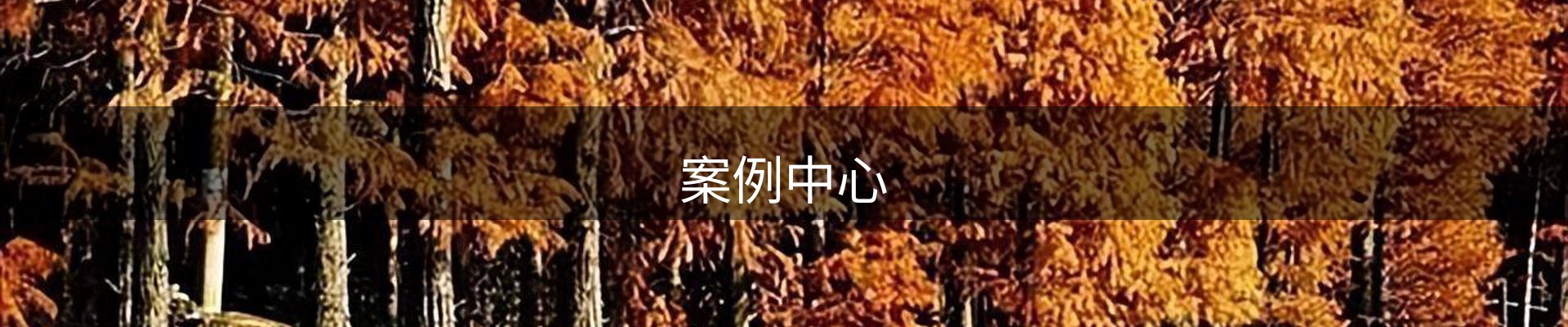 案例中心